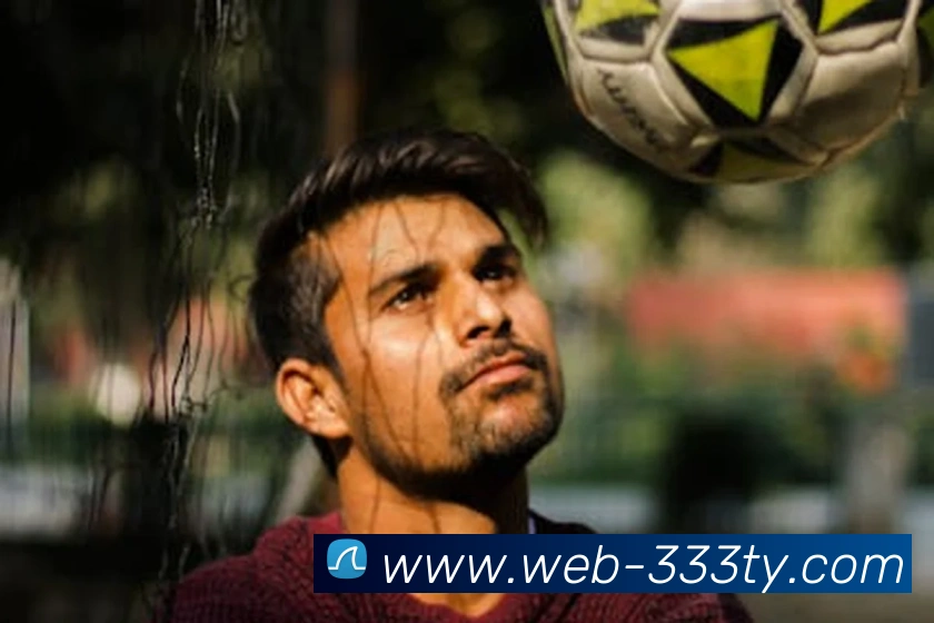 333体育:全球职业竞技赛事资讯与实时数据交互门户平台生态图